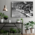 swimming competition at berlin Olympic Games in 1936  by Bridgeman Images  on GIANT ART - black and white photgraphy