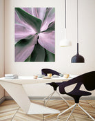 Agave by Caterina Lo Cicero on GIANT ART - pink pink