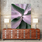 Agave by Caterina Lo Cicero on GIANT ART - pink pink
