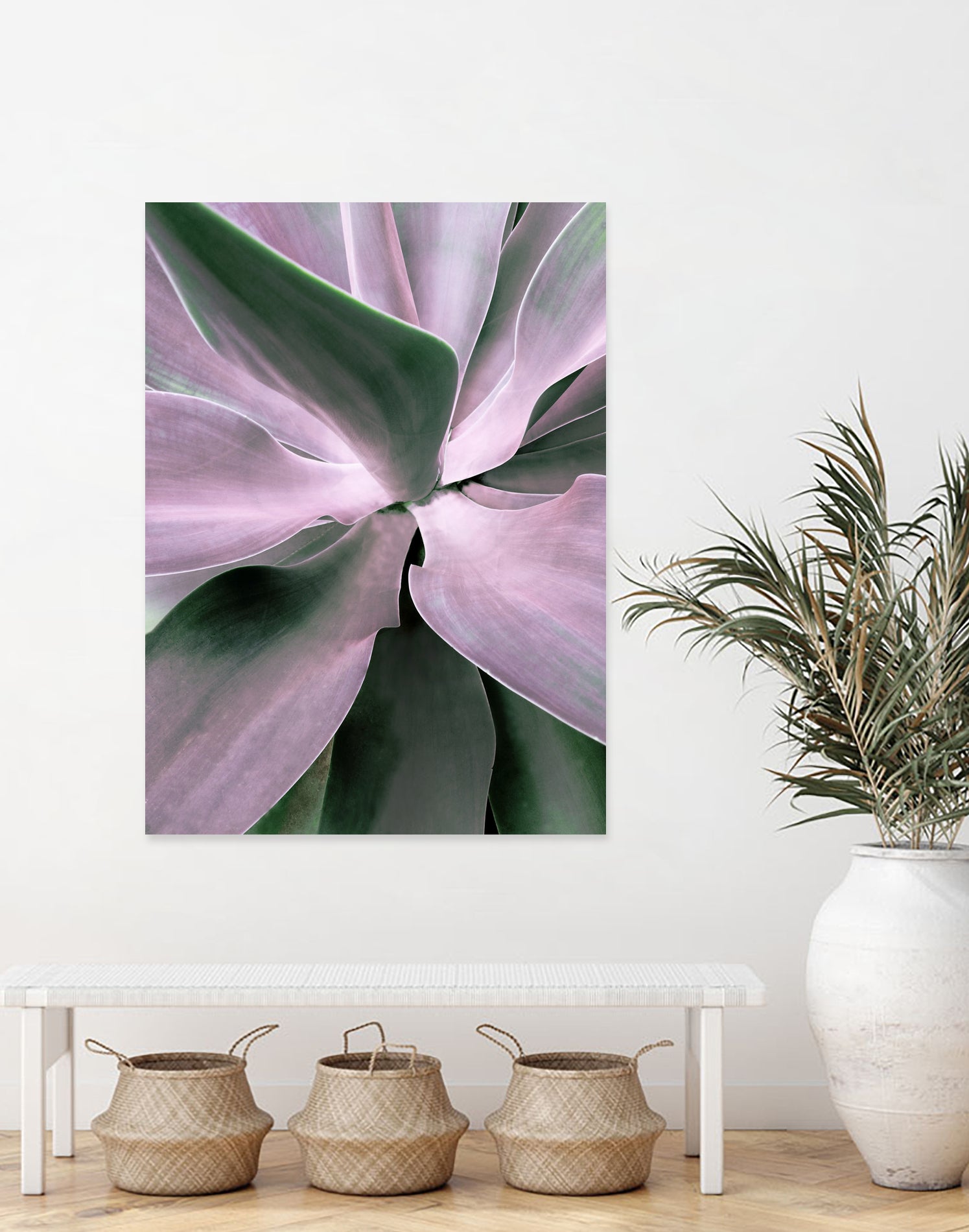 Agave by Caterina Lo Cicero on GIANT ART - pink pink