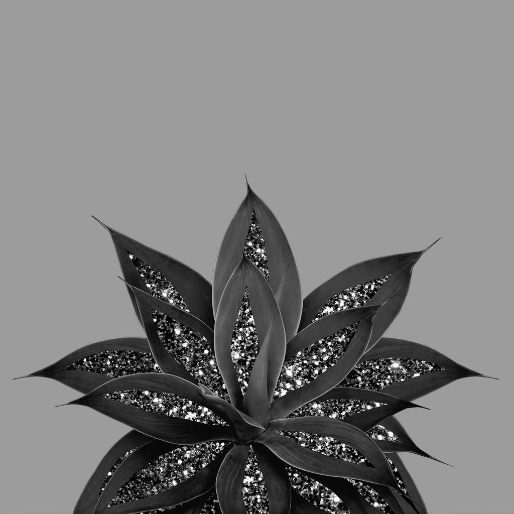 Gray Black Agave with Black Silver Glitter #3 #shiny by Anita & Bella Jantz on GIANT ART - gray photo illustration