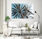 Palm Trees Bliss 1 by Anitas Bellas Art on GIANT ART - coastal