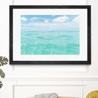 Dive into the Caribbean Sea 2 by AnitasBellasArt on GIANT ART - blue coastal