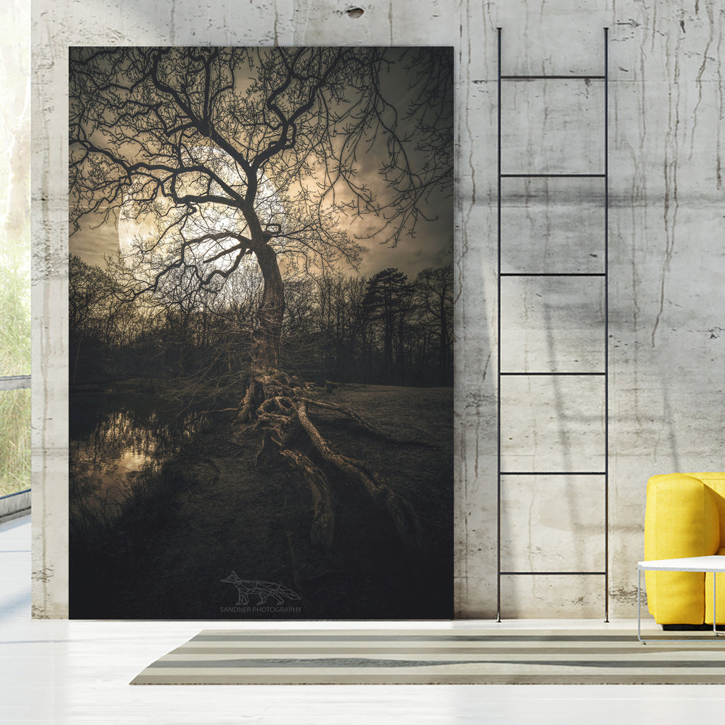 Loughtons Forest by Steven Sandner on GIANT ART - white digital drawing