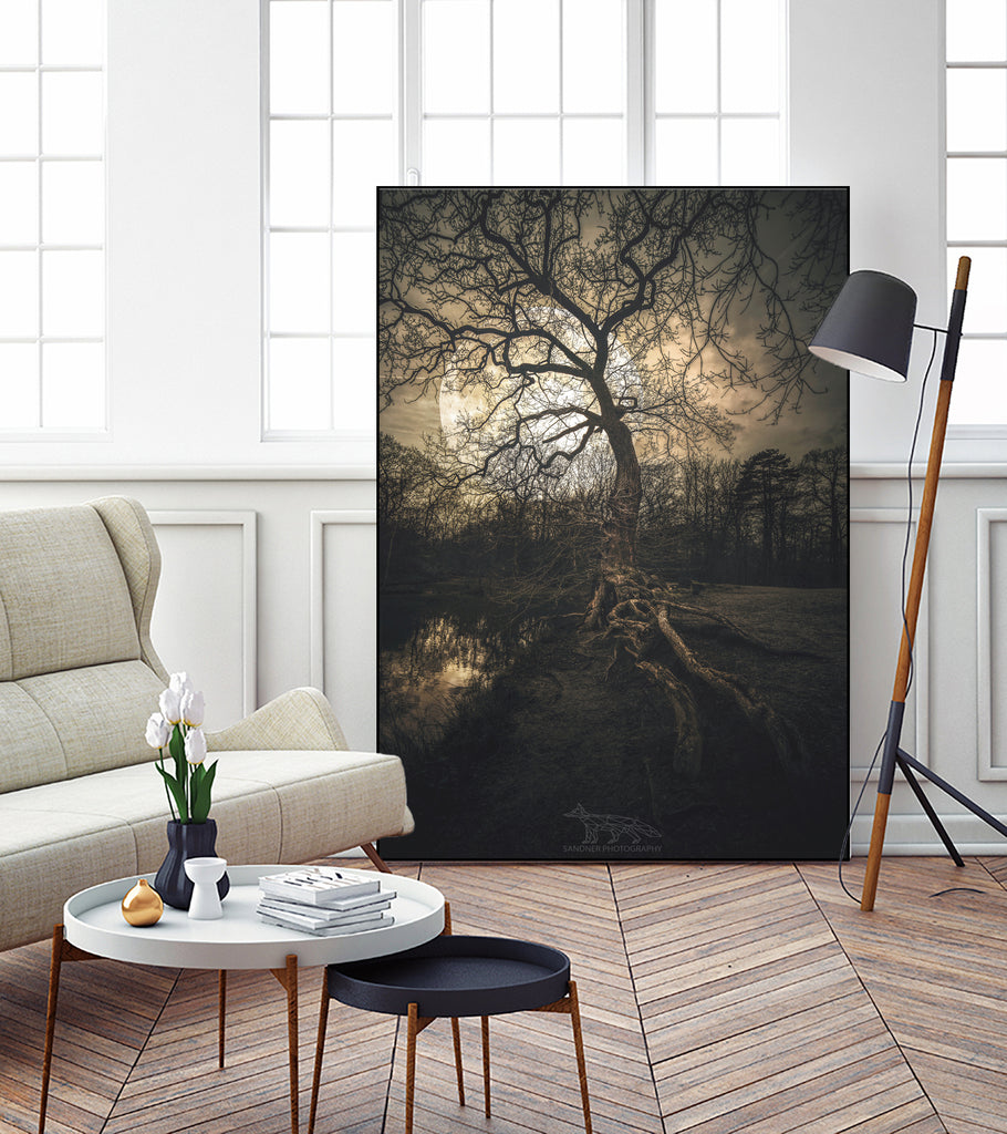 Loughtons Forest by Steven Sandner on GIANT ART - white digital drawing