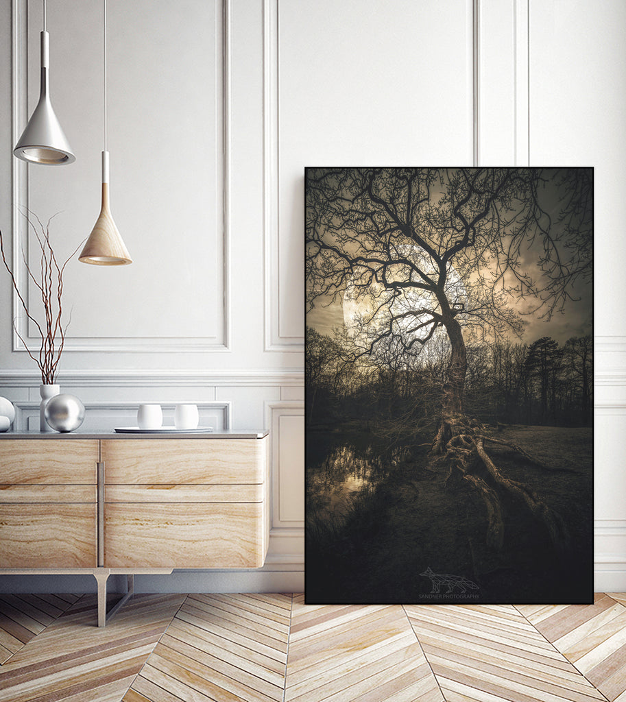 Loughtons Forest by Steven Sandner on GIANT ART - white digital drawing