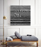 Zebra Field by Dariusz Klimczak on GIANT ART - gray photo illustration
