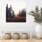 You Are Here by Oliver Brömme on GIANT ART - brown photo manipulation