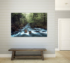 River through the Woods by William Cuccio on GIANT ART - green photo illustration