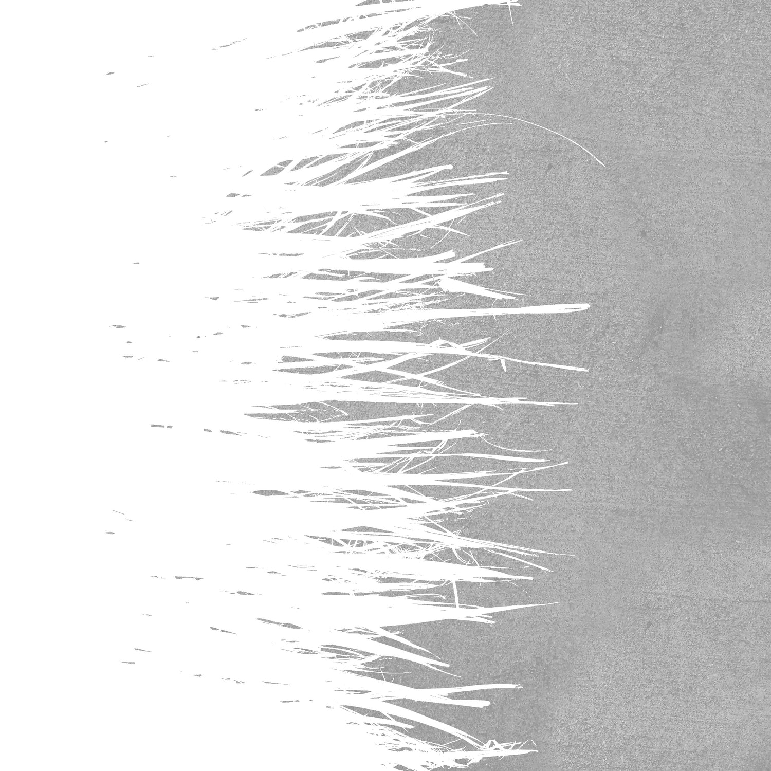 Concrete Fringe W On Side by Emeline Tate-Robertson on GIANT ART - gray digital painting