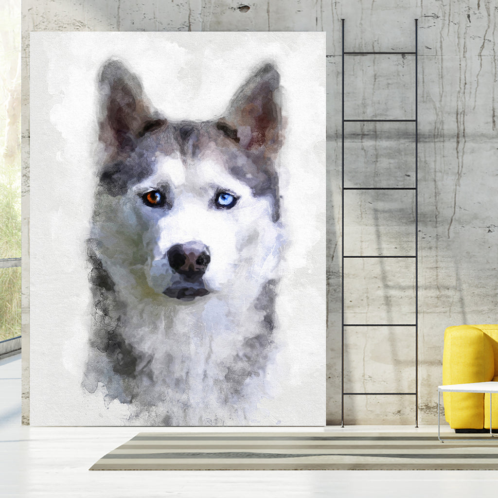 Siberian Husky by Alex Baron on GIANT ART - gray digital painting