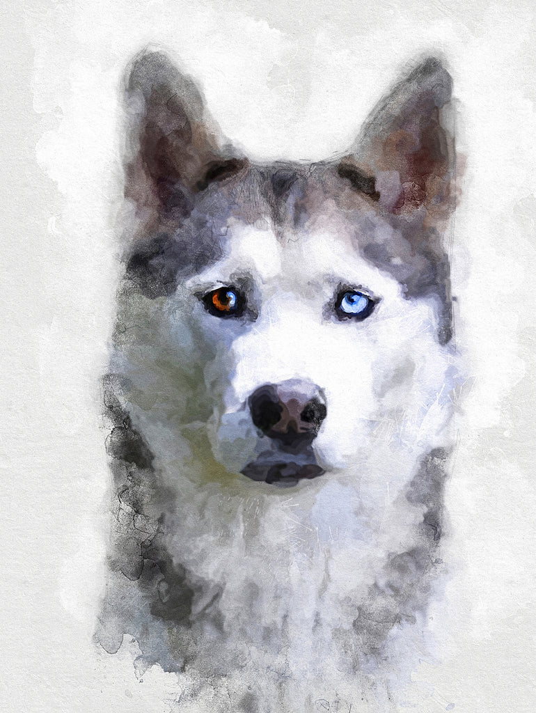 Siberian Husky by Alex Baron on GIANT ART - gray digital painting