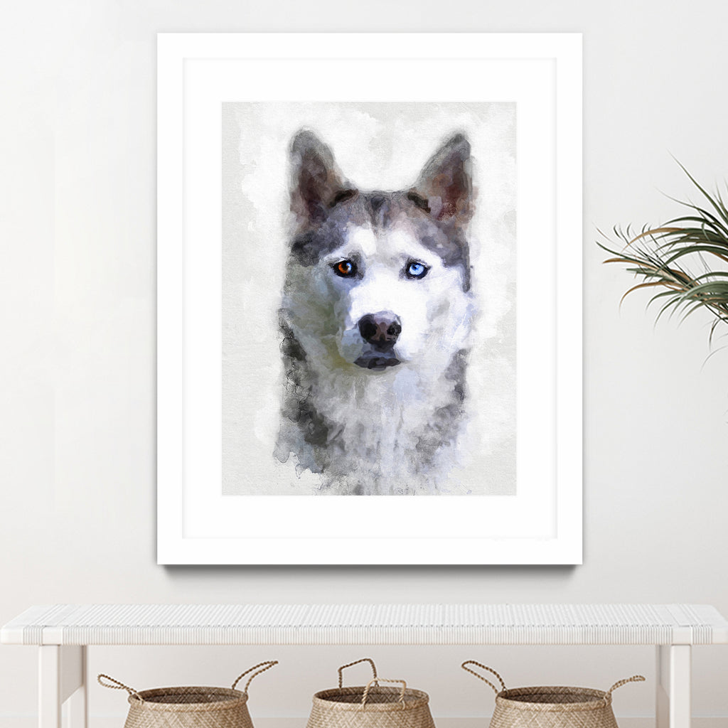 Siberian Husky by Alex Baron on GIANT ART - gray digital painting