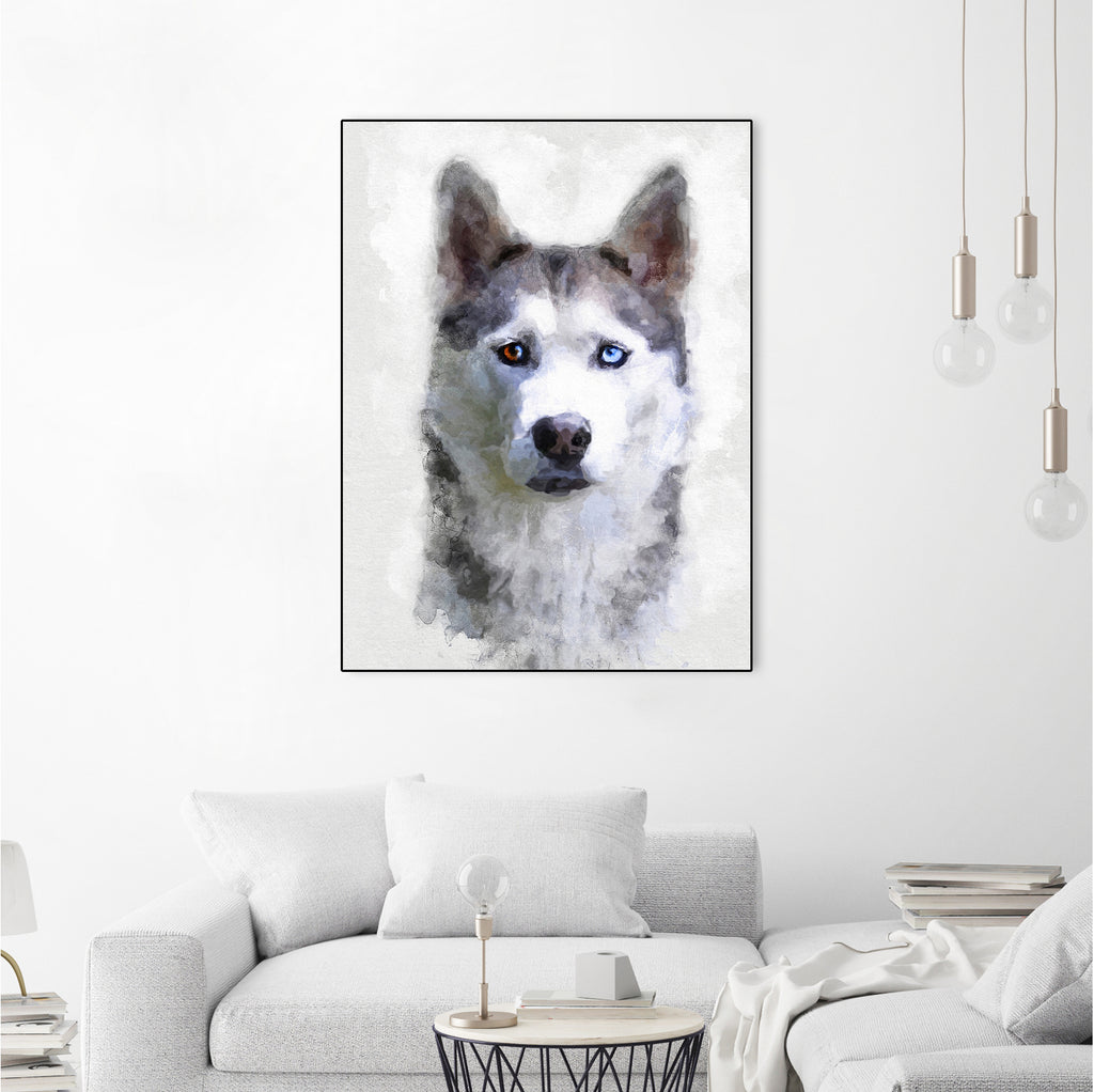 Siberian Husky by Alex Baron on GIANT ART - gray digital painting