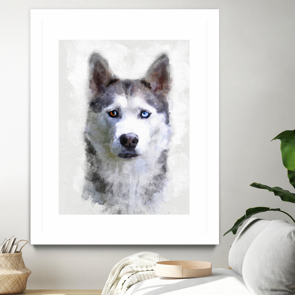 Siberian Husky by Alex Baron on GIANT ART - gray digital painting