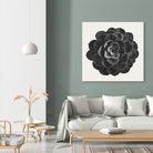 Black Marble Succulent Plant by amini 54 on GIANT ART - black digital painting