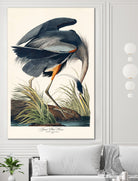 Great Blue Heron by John James Audubon on GIANT ART - green botanical nature
