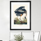 Great Blue Heron by John James Audubon on GIANT ART - green botanical nature