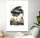 Great Blue Heron by John James Audubon on GIANT ART - green botanical nature
