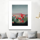 Poppies by Maggie Sackmann on GIANT ART - abstract