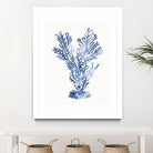 Shibori Coral I by Mary Urban on GIANT ART - blue