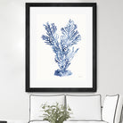 Shibori Coral I by Mary Urban on GIANT ART - blue