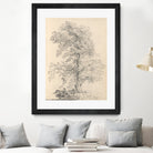 Tree Sketch by Wild Apple Portfolio on GIANT ART - abstract