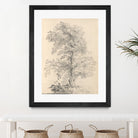 Tree Sketch by Wild Apple Portfolio on GIANT ART - abstract