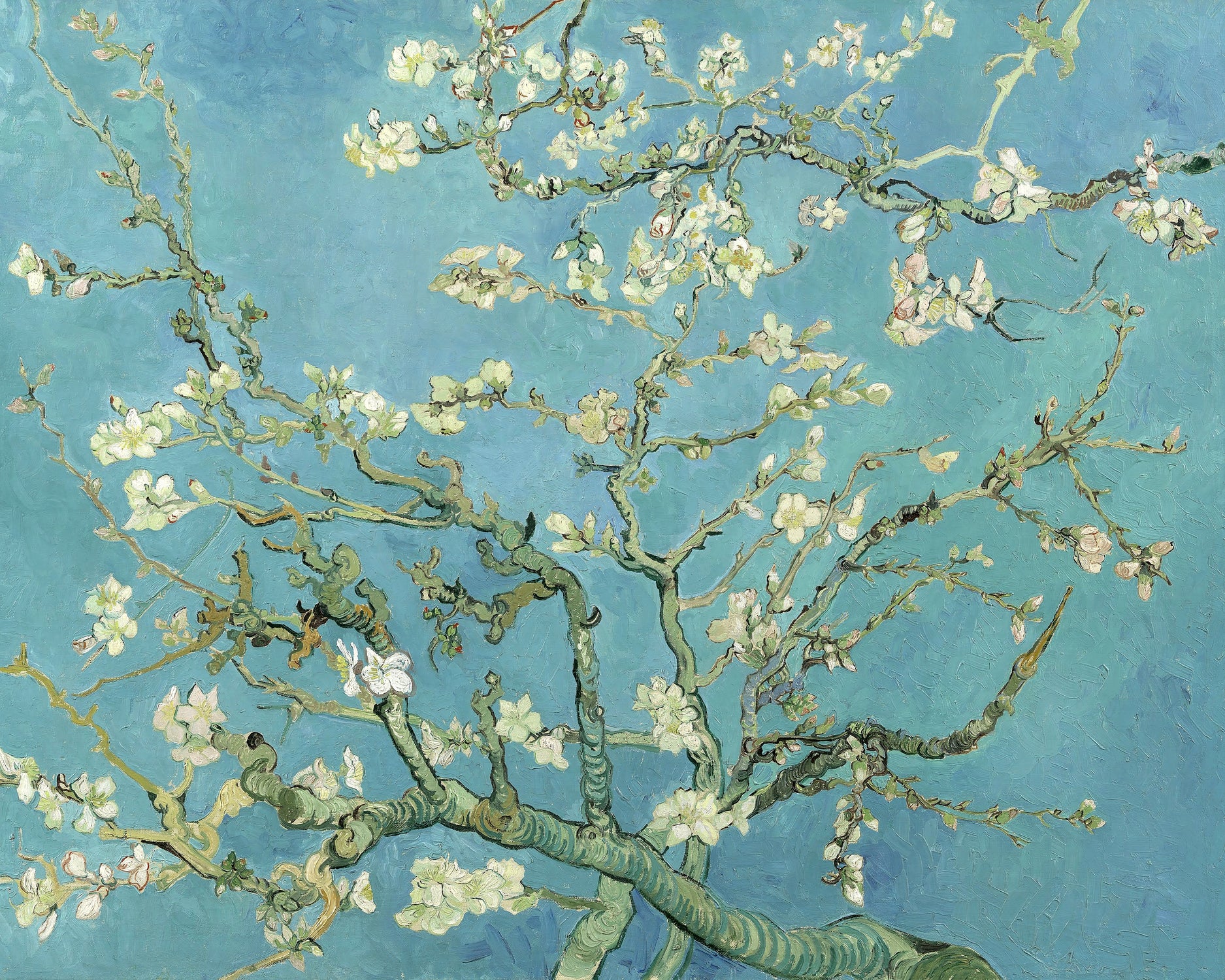 Almond Blossoms, 1890 by Vincent Blossoms, 1890 on GIANT ART - blue botanical blossoms