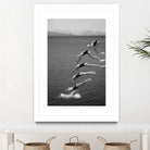 The beauty of diving by Greetje on GIANT ART - black and white  photography quick