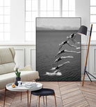 The beauty of diving by Greetje on GIANT ART - black and white  photography quick
