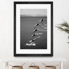 The beauty of diving by Greetje on GIANT ART - black and white  photography quick