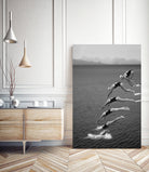 The beauty of diving by Greetje on GIANT ART - black and white  photography quick