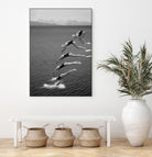 The beauty of diving by Greetje on GIANT ART - black and white  photography quick