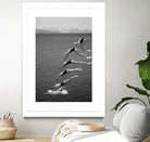 The beauty of diving by Greetje on GIANT ART - black and white  photography quick