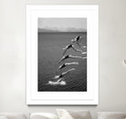 The beauty of diving by Greetje on GIANT ART - black and white  photography quick