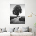 Poet by Alexej Schulz on GIANT ART - landscape lonely tree