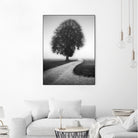 Poet by Alexej Schulz on GIANT ART - landscape lonely tree