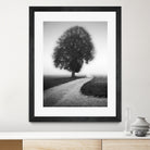 Poet by Alexej Schulz on GIANT ART - landscape lonely tree