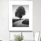 Poet by Alexej Schulz on GIANT ART - landscape lonely tree