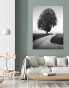 Poet by Alexej Schulz on GIANT ART - landscape lonely tree