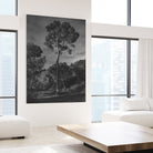 Arbores  by Pepa on GIANT ART - black botanical framed canvas