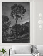 Arbores  by Pepa on GIANT ART - black botanical framed canvas