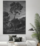 Arbores  by Pepa on GIANT ART - black botanical framed canvas