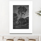 Arbores  by Pepa on GIANT ART - black botanical framed canvas