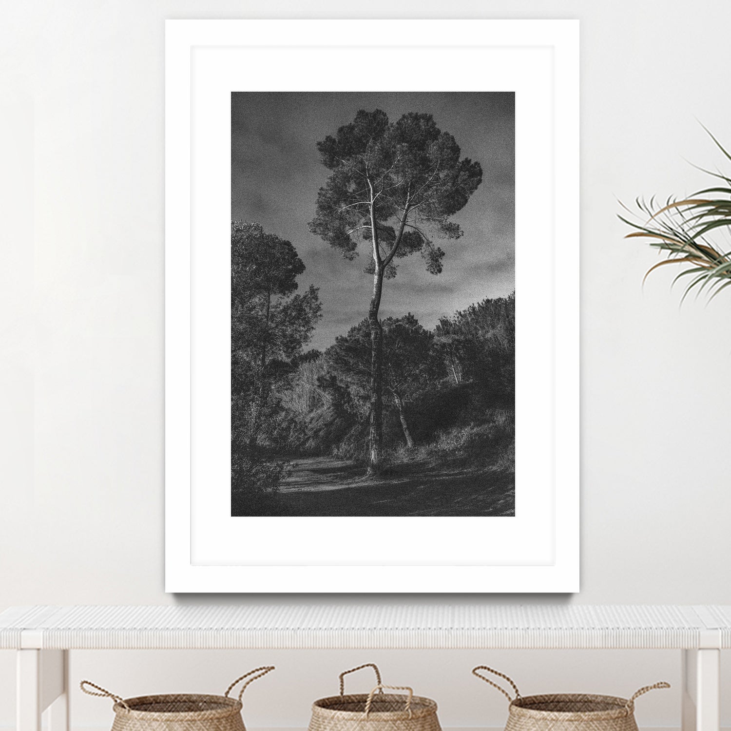 Arbores  by Pepa on GIANT ART - black botanical framed canvas