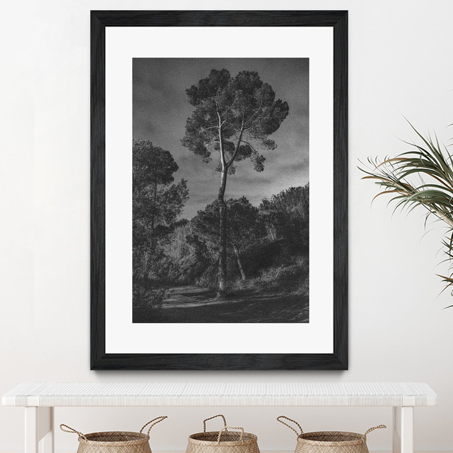 Arbores  by Pepa on GIANT ART - black botanical framed canvas