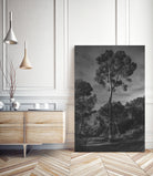 Arbores  by Pepa on GIANT ART - black botanical framed canvas