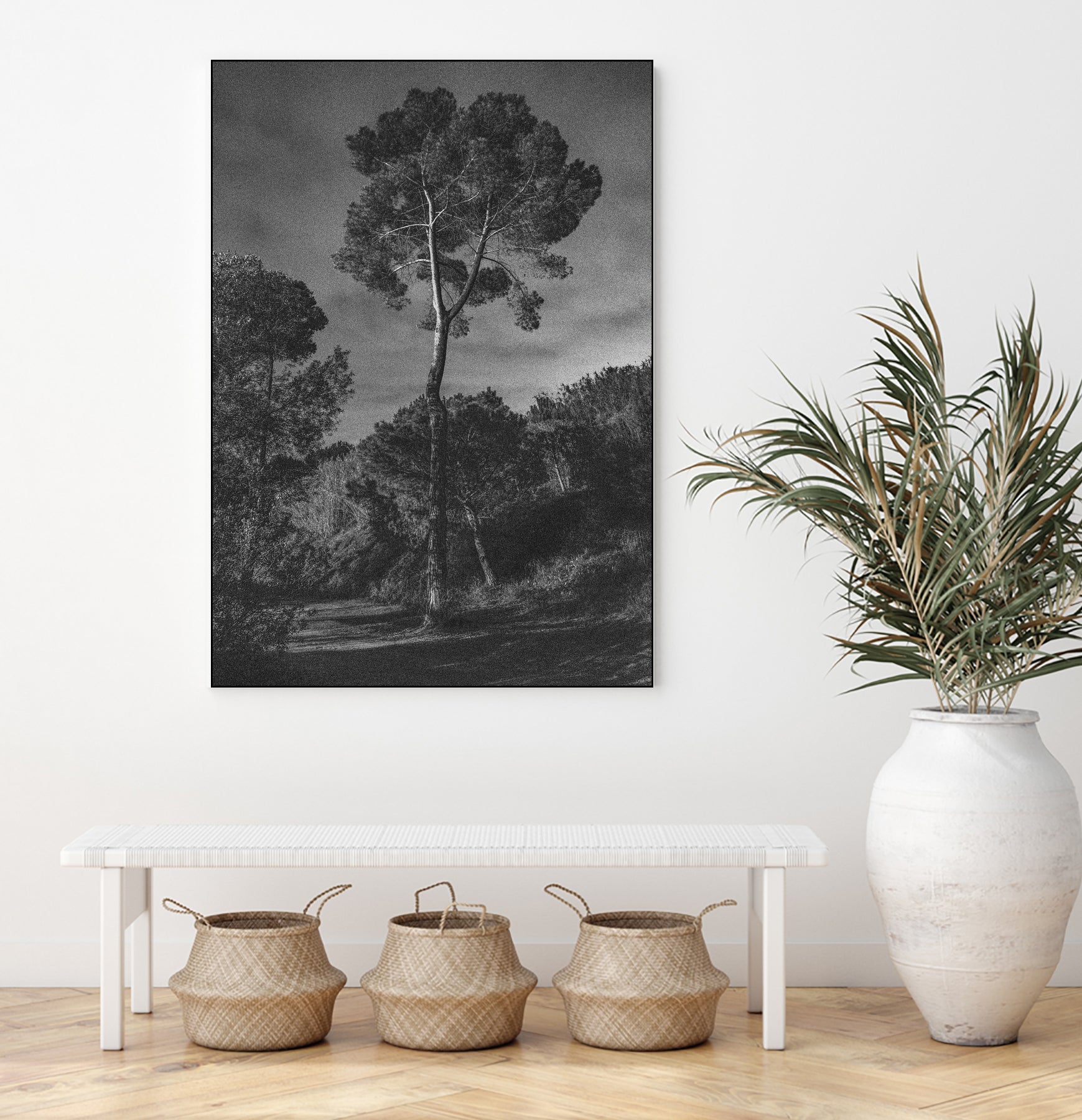 Arbores  by Pepa on GIANT ART - black botanical framed canvas