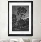 Arbores  by Pepa on GIANT ART - black botanical framed canvas